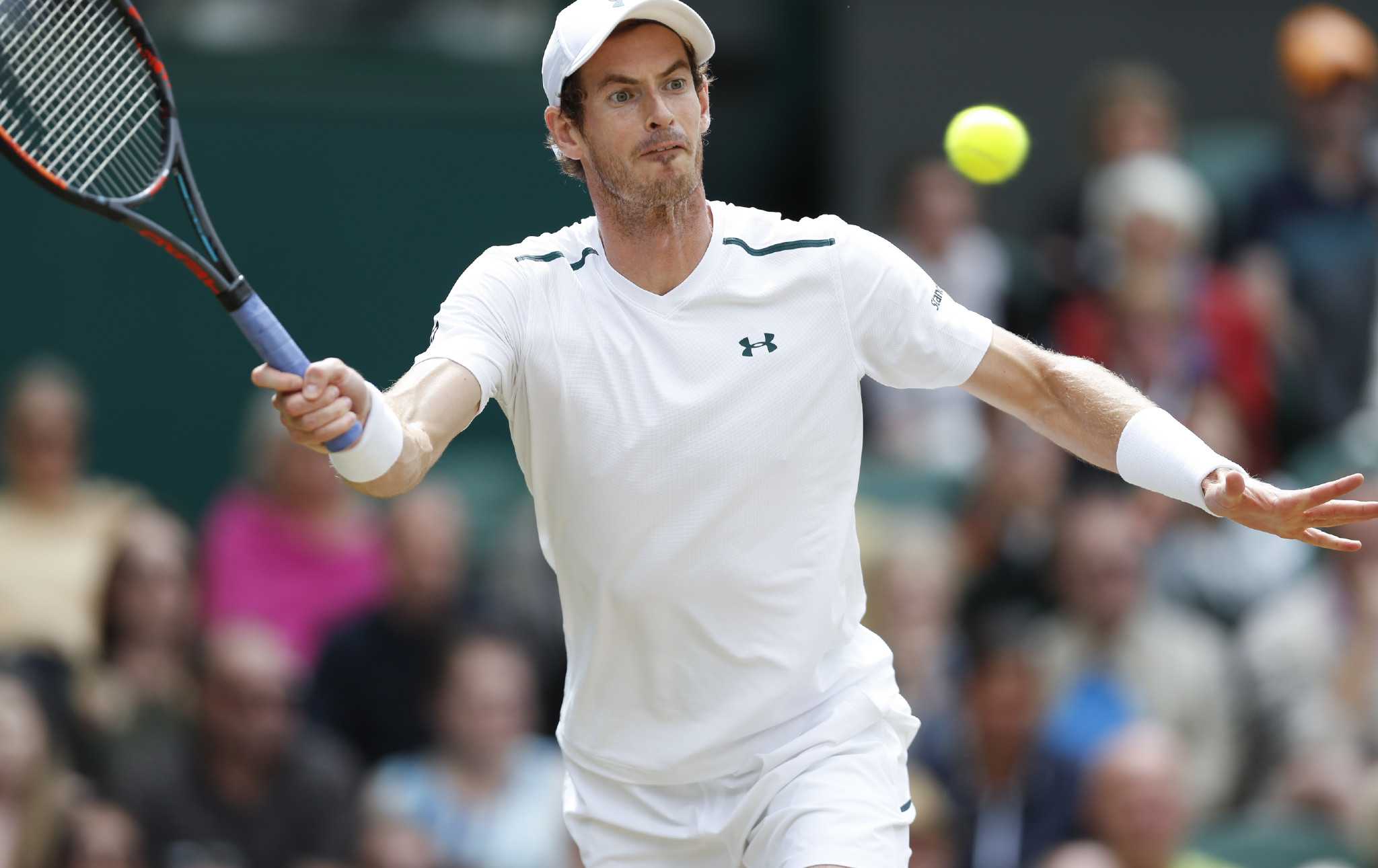 PANDA-穆雷在塞尔维亚队比赛中爆冷，高光表现引发热议！的简单介绍